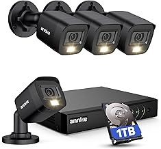 ANNKE DT81D 8CH Outdoor Wired Home Security Camera System 3K Lite DVR AI Detection