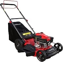 PowerSmart DB8621CR EasyDrive Gas Powered Self Propelled Lawn Mower (21-Inch, 170cc OHV, RWD)